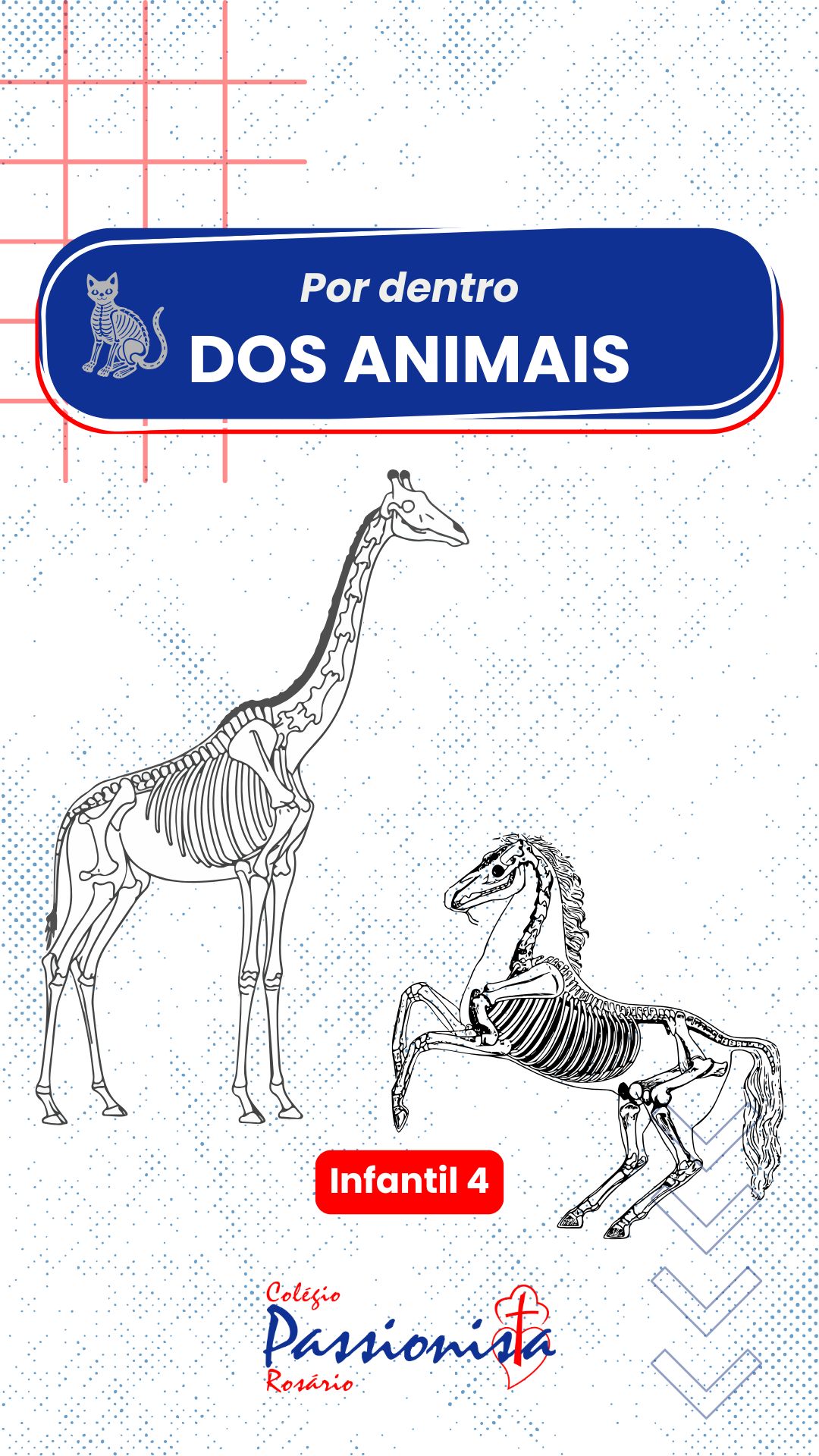 Explorando os Segredos do Corpo dos Animais - Infantil 4 Nossa Senhora do Ros�rio