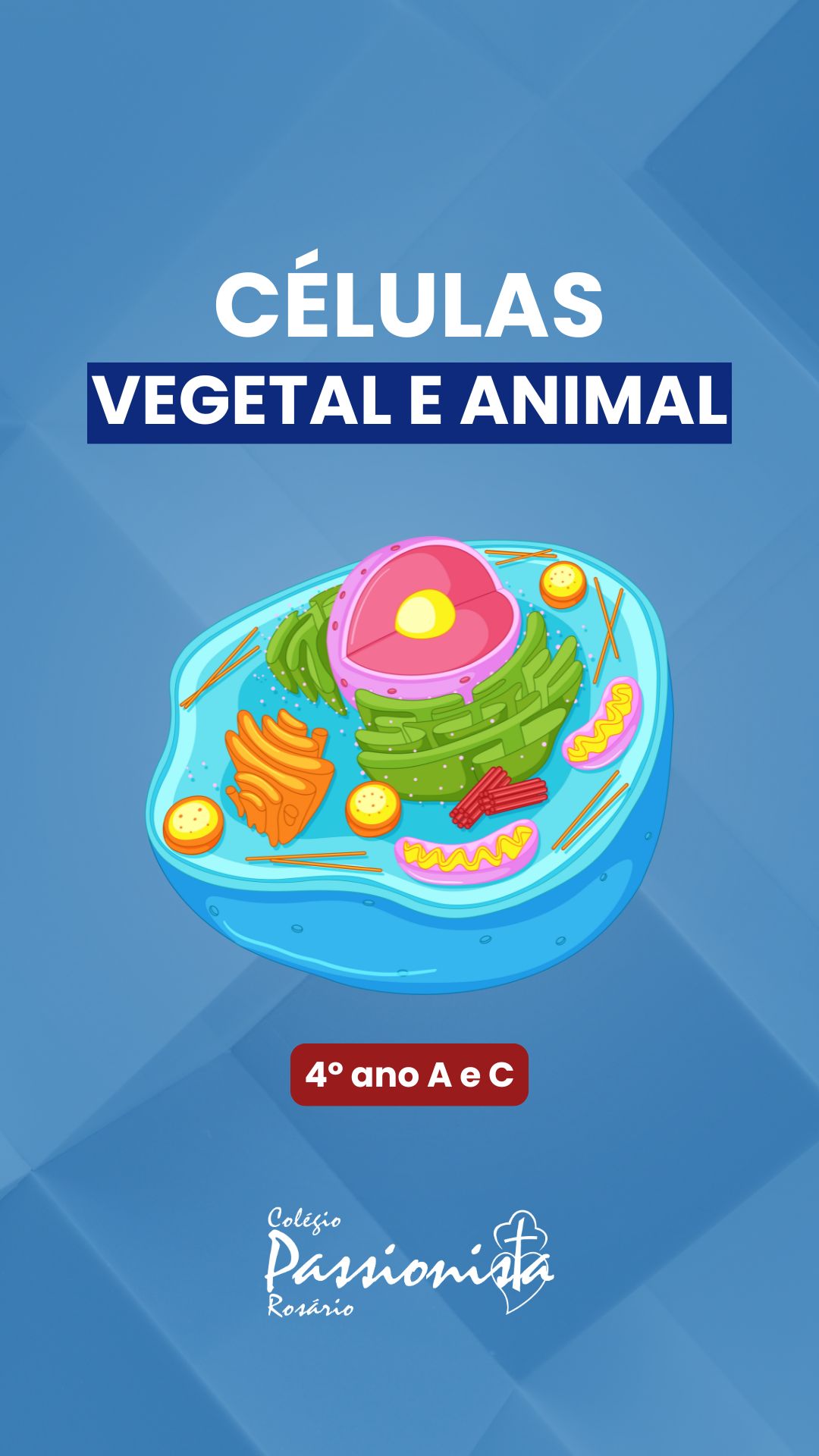 C�lula Animal e a C�lula Vegetal - 4� ano A e C Nossa Senhora do Ros�rio
