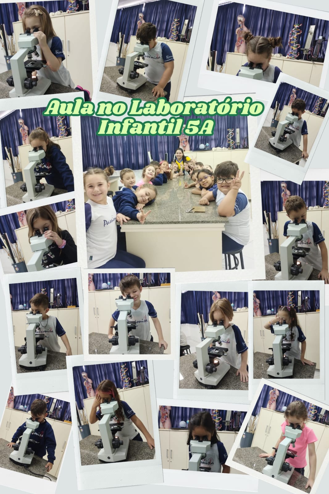 Microsc�pio - Infantil 5 A Nossa Senhora do Ros�rio