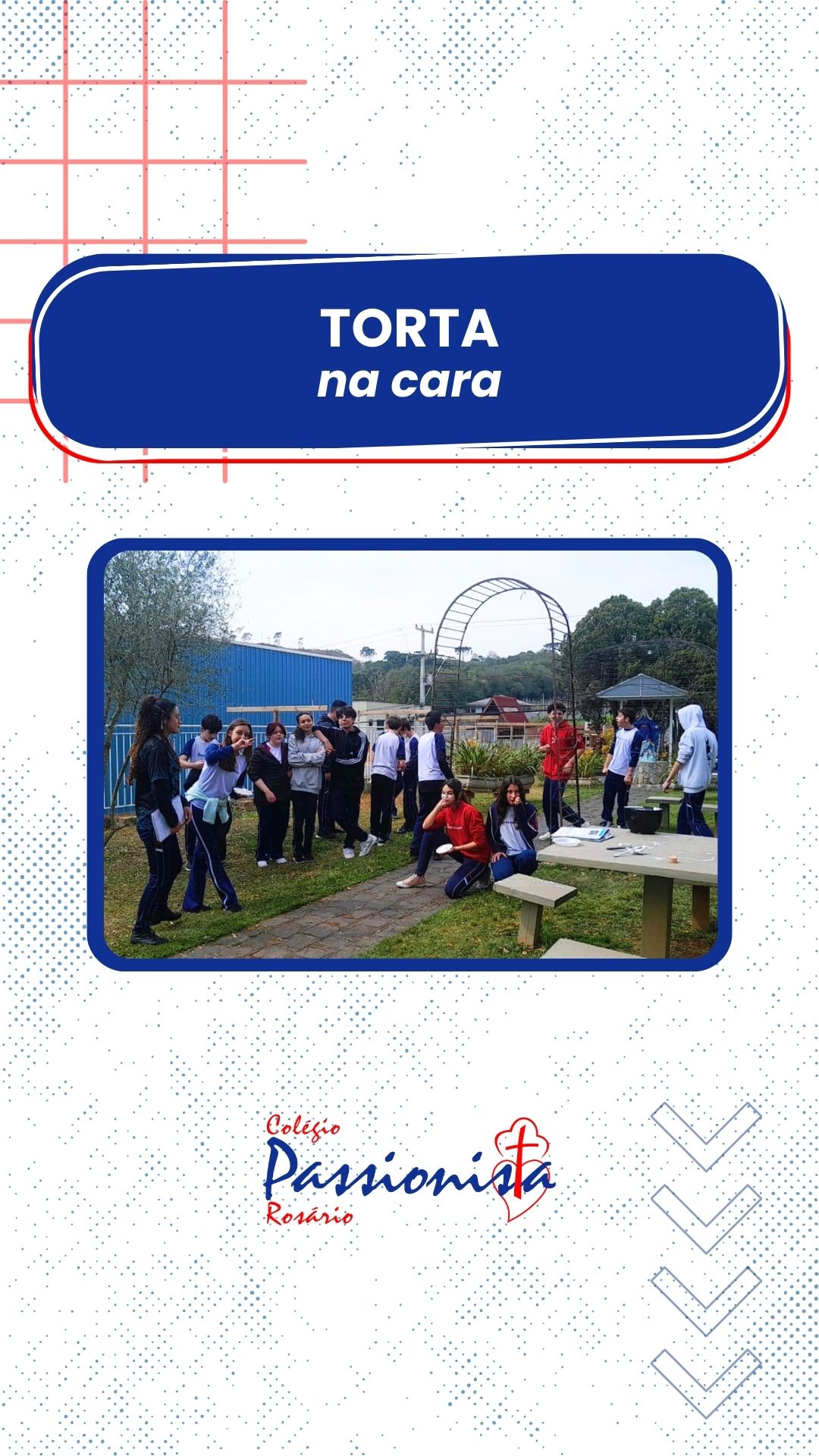 Torta na Cara 9� ano C Nossa Senhora do Ros�rio