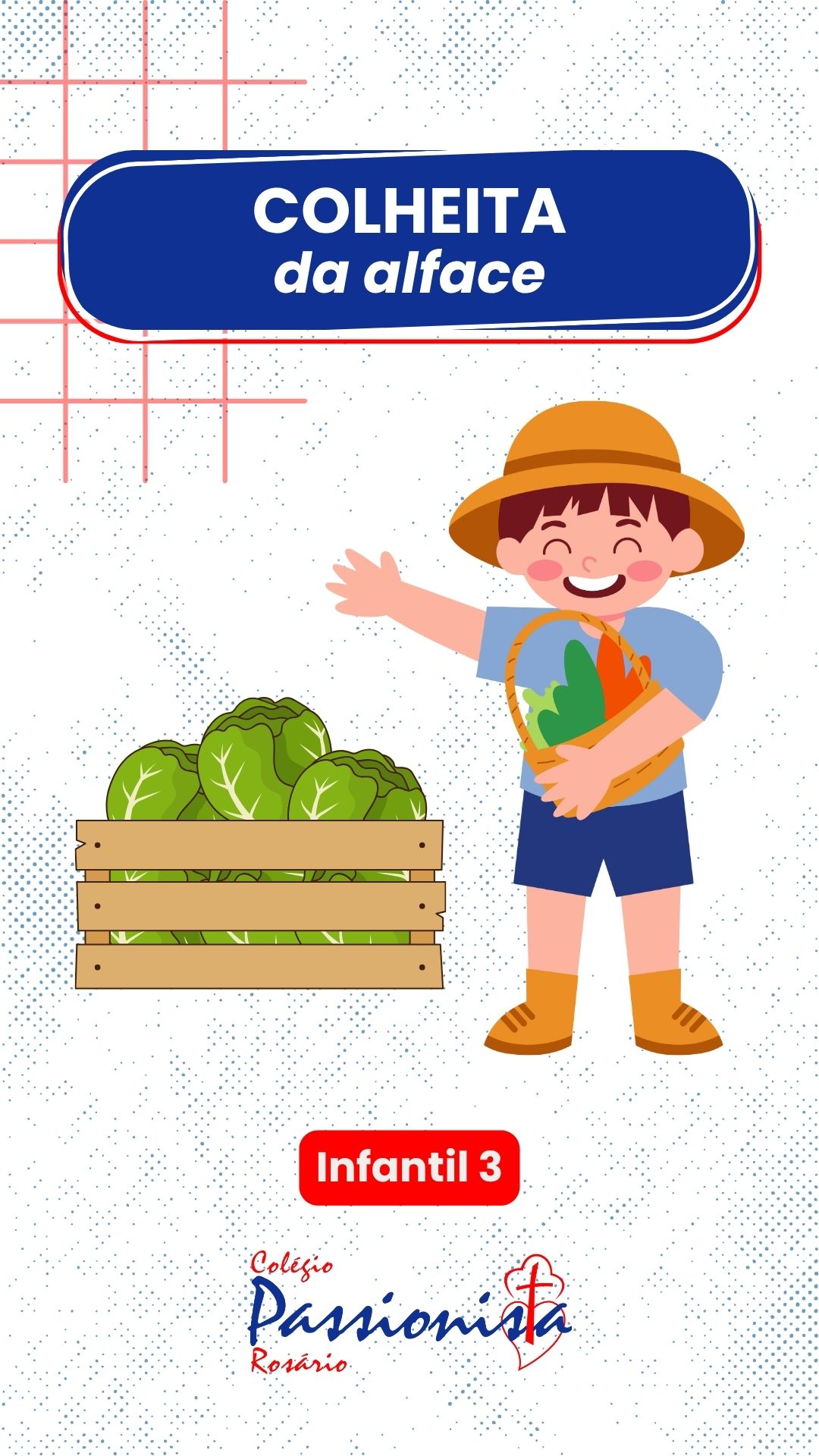 Dia da colheita - Infantil 3 Nossa Senhora do Ros�rio