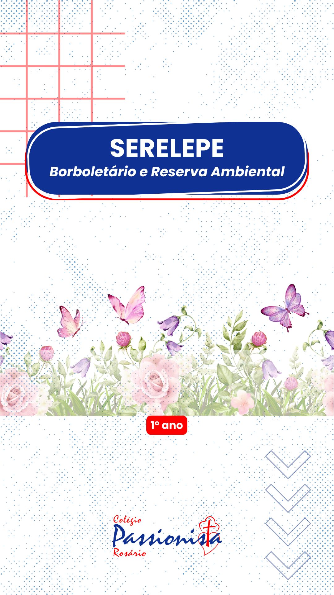 Visita a Reserva Ambiental Serelepe - 1� ano A e B Nossa Senhora do Ros�rio