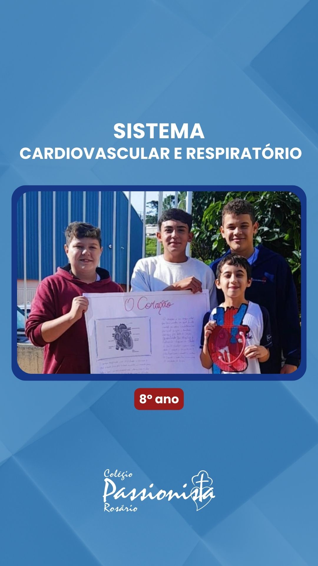 Sistema Cardiovascular e Respirat�rio - 8� ano Nossa Senhora do Ros�rio
