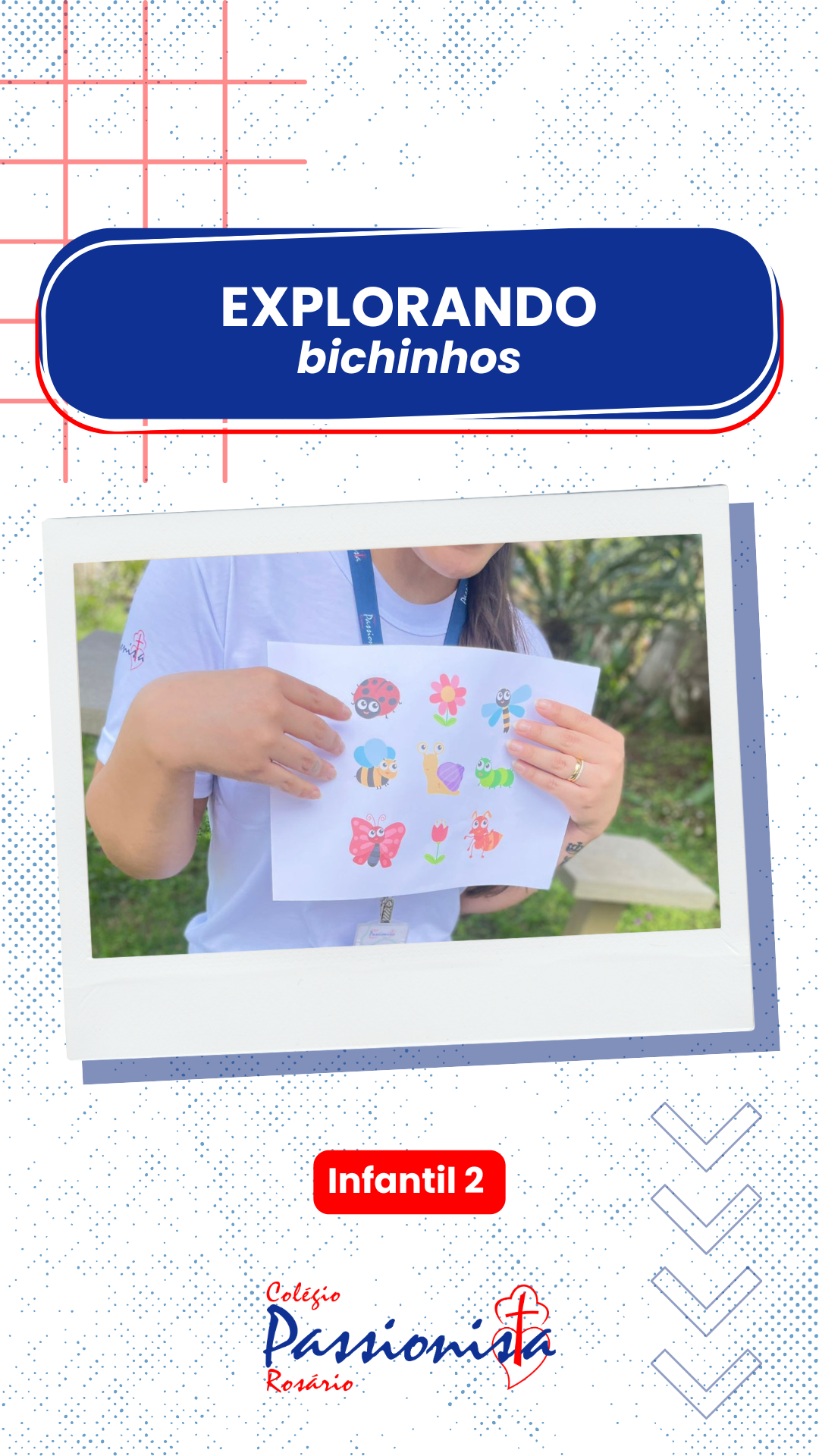Explorando os bichinhos de jardim - Infantil 3 Nossa Senhora do Ros�rio