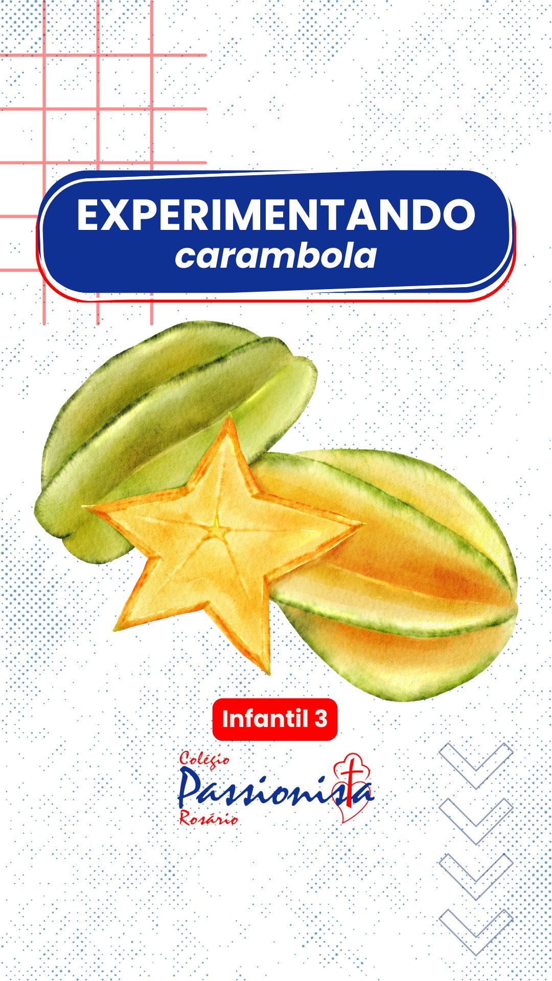 Diferentes sabores - Infantil 3 Nossa Senhora do Ros�rio