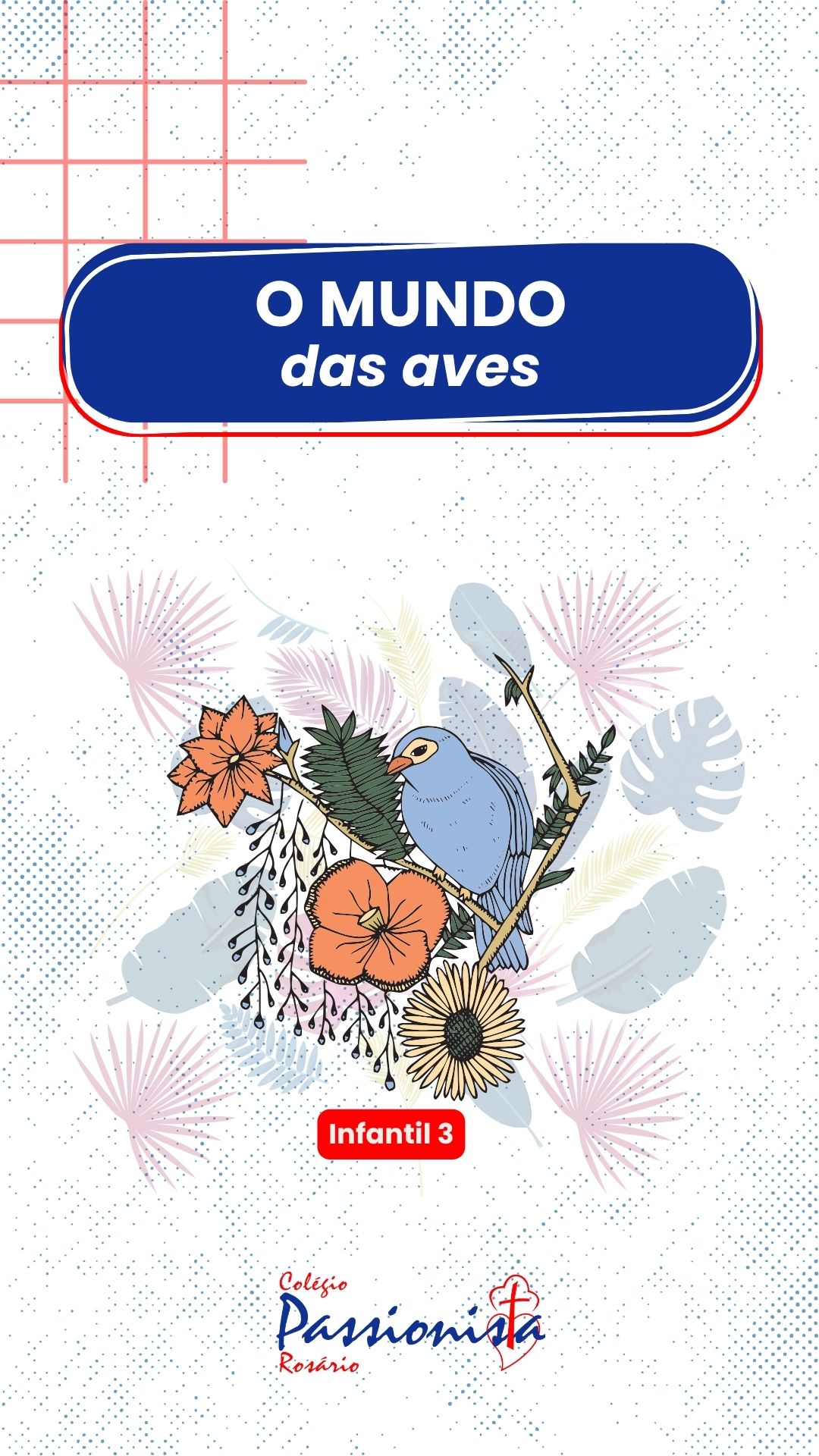 Descobrindo o Mundo das Aves - Infantil 3 Nossa Senhora do Ros�rio