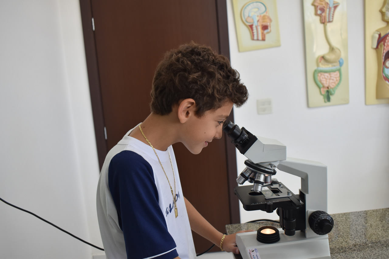 Identificar as partes de um microsc�pio. Nossa Senhora do Ros�rio