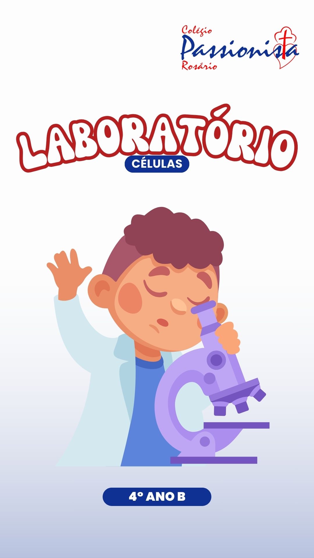 C�lulas - 4� ano B Nossa Senhora do Ros�rio